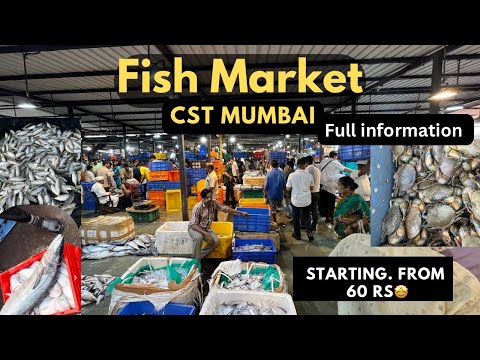 CST Fish Market Mumbai | सर्वात  स्वस्त. मच्छि  | wholesale fish market in mumbai 🐠🦐🐟