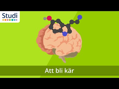 Att bli kär (Biologi) - www.binogi.se