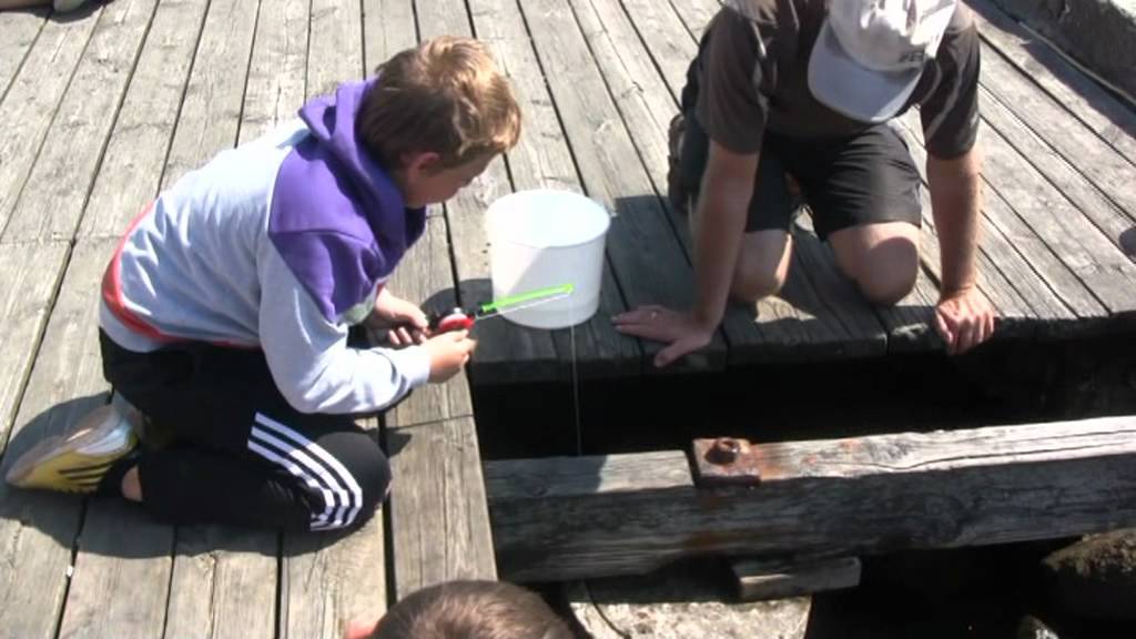 Krabbefiskeri i Rørvig