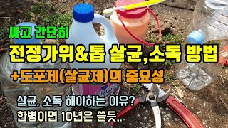 초간단저비용 락스로 전정전지가위 전지톱 살균소독방법 도포제(살균제)를 하는이유