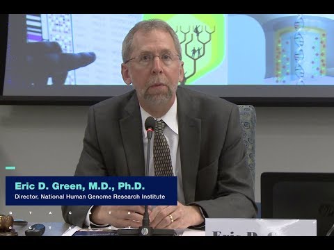 Director Report (May 2018) - Eric Green