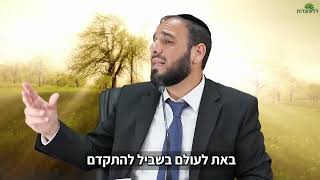 אתה מרוויח פה את כל הקופה בקלי קלות | הרב דוד פריוף מייעץ בעסקים! (הרב דוד פריוף) - התמונה מוצגת ישירות מתוך אתר האינטרנט יוטיוב. זכויות היוצרים בתמונה שייכות ליוצרה. קישור קרדיט למקור התוכן נמצא בתוך דף הסרטון