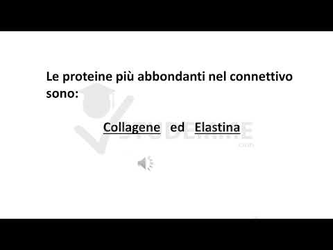 VIDEO RIASSUNTO ISTOLOGIA GRATIS | TESSUTO CONNETTIVO