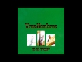ZZ Top - Sheik (Backing Track)