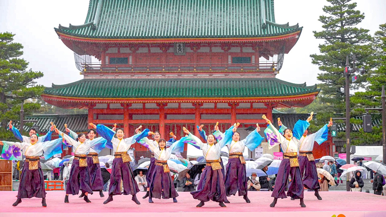 [4K] 花水葵　京都さくらよさこい 2026 さくよさ 土曜日