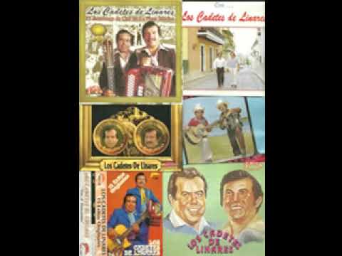 Los Cadetes de Linares - POLKAS, REDOVAS, CHOTIS, HUAPANGOS 14 EXITOS