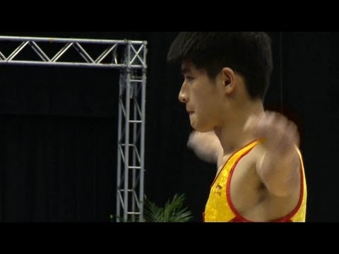 WC BIRMINGHAM 2011 -- YANG Song (CHN)
