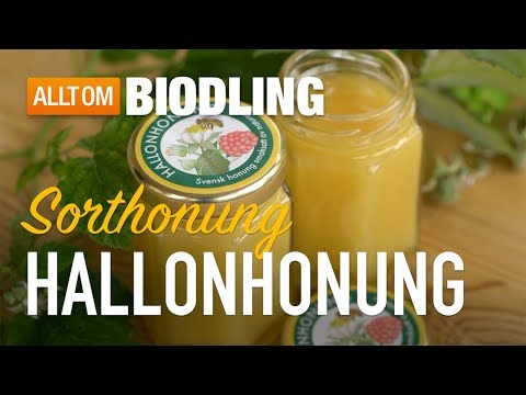 Hallonhonung - Sorthonung - Honung