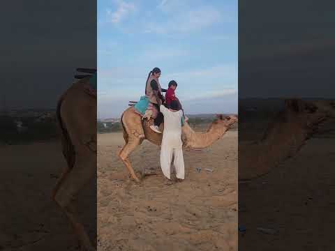 first time camel ride in 38 years #shorts