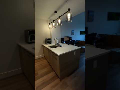 video 1