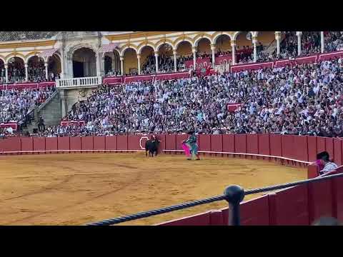 Morante De La Puebla tanda de Verónicas Rabo Sevilla 2023