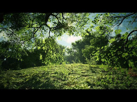 Wild Oak Trees - Cinematic Demo - Unreal Engine 4 (4K)