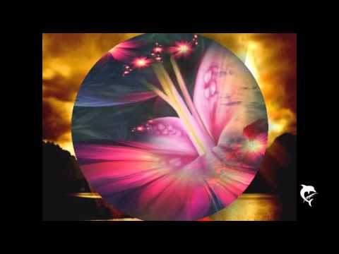 BZN  *Two Shades of Blue *