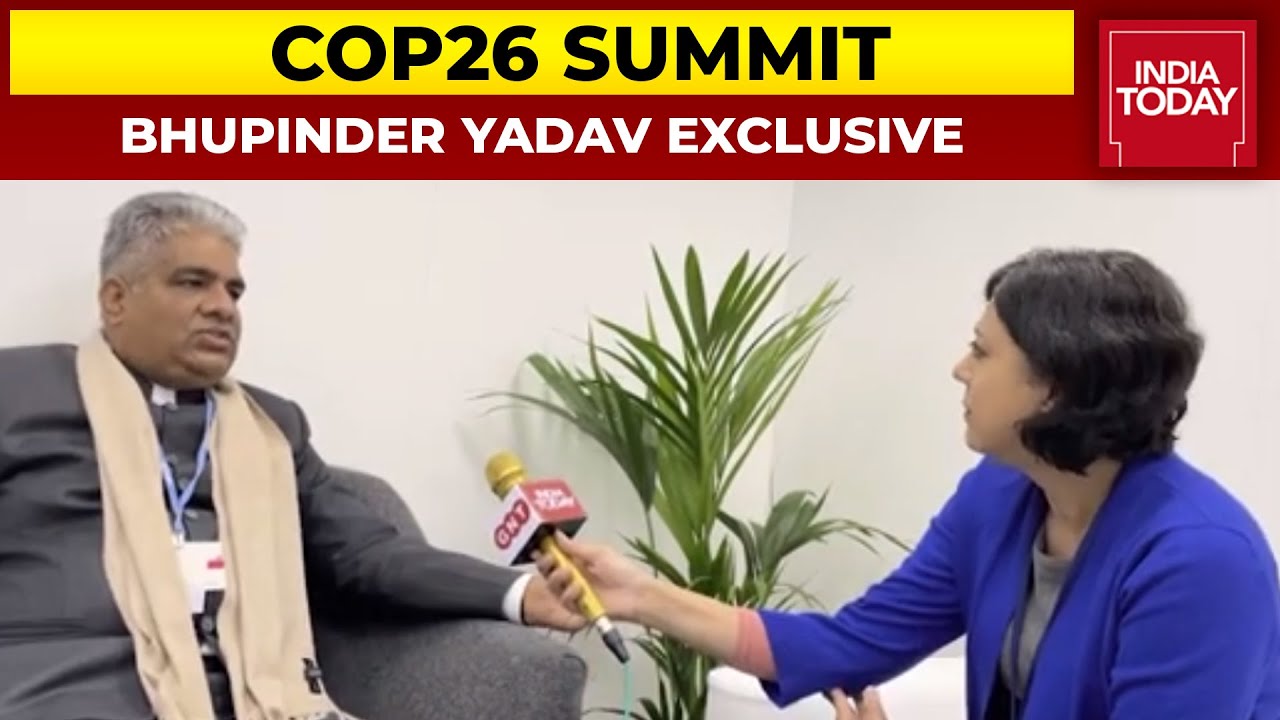 Who is the central forest minister?