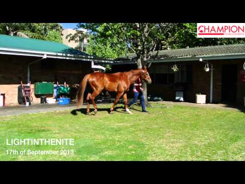 Lightinthenite 17/9/13