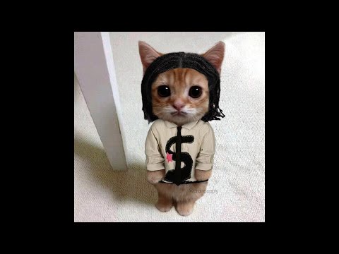 D4VD TYPE BEAT 2025 X INDIE ROCK TYPE BEAT "IM F*CKING CRAZY" | STEVE LACY TYPE BEAT