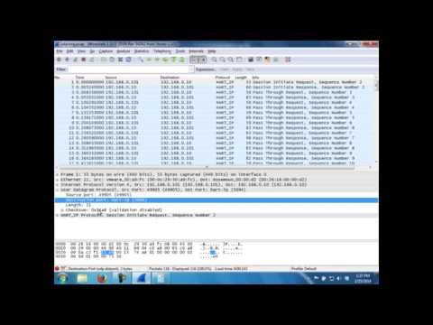 Total Seminars Network+ TotalSims -- Examining a UDP Packet with Wireshark
