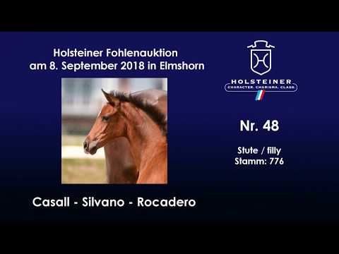 Holsteiner Fohlenauktion | Nr. 48 v. Casall - Silvano