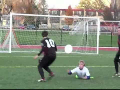 Frizzly Bear Highlights