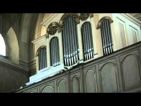 Erich Turk - MuzaFest 2010