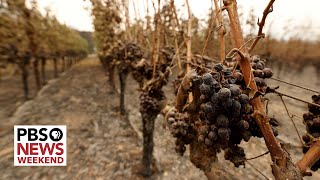 Download lagu How climate change is impacting the wine and spiri... mp3