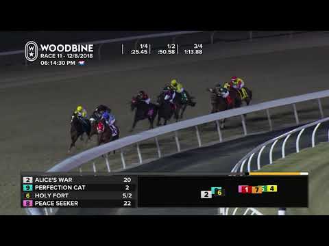 Woodbine, December 8, 2018 Race 11