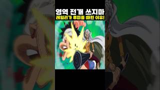 👉영역전개 하던 루피를 레일리가 때린 이유! (원피스 명장면)
