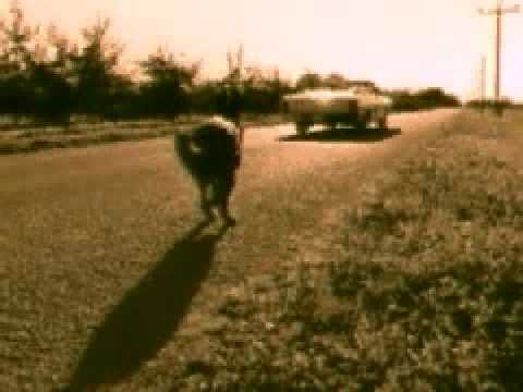 Holly Cole Trio - Calling You