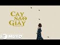 Cây Sao Giấy - Hoàng Yến Chibi [ Lyric Video ] | MV HD