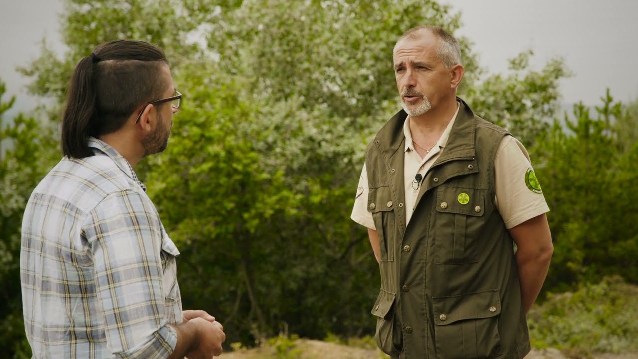 Erdőmánia - Az erdő szerepe az iparterületek kármentesítésében és a tájsebek gyógyításában