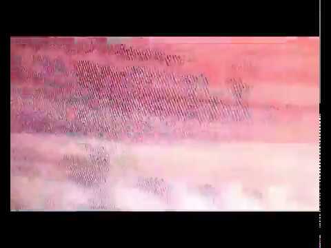 David Hasert - Wie spät ist es eigentlich?