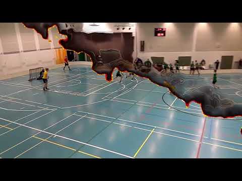 Maalikooste VSS - SBS Wirmo 2-11 (Suomisarja 4.11.2022)