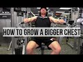 HOW TO GROW A BIGGER CHEST | MAKING GAINS 2 DAY 22