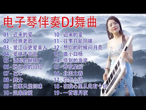电子琴伴奏DJ节奏纯音乐车载高音质电子琴DJ, Electronic organ accompaniment 🥰 A song Beautiful Melody Soothing sound #1