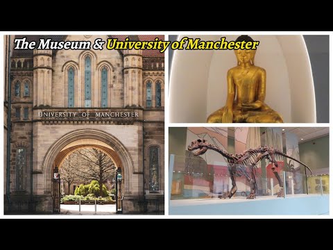 Walking around the University of Manchester & Manchester Museum Walking Vlog
