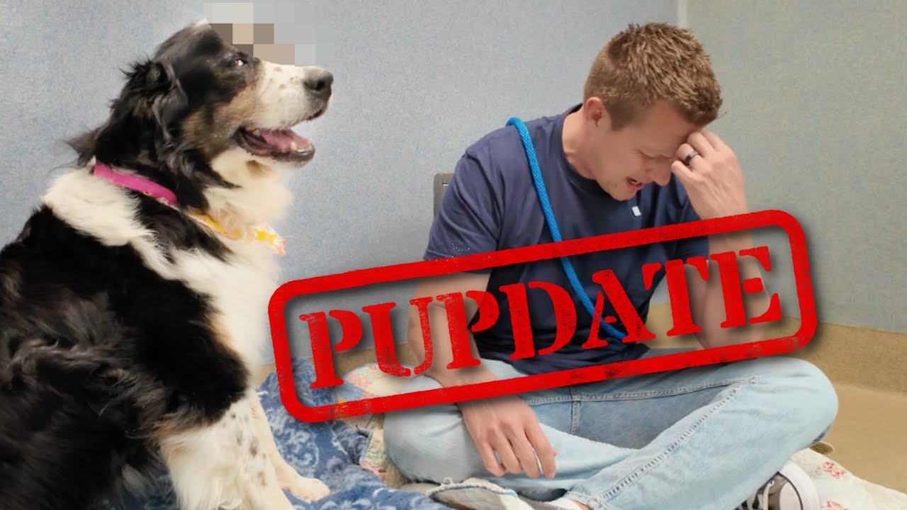 I Wasn't Ready for This 🥹 PUPDATE on Cassie