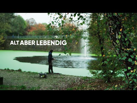 Pike and catfish right in the heart of the city!