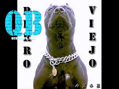 13 ARCE PERRO VIEJO PERRO VIEJO