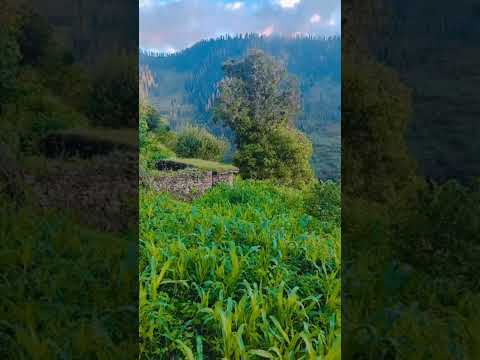 Bbohay bariyan by HadiQa Kiani ..beautifull view after rain