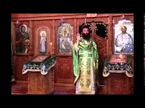 20150601 NICOLAE BALASOIU – SFANTA TREIME