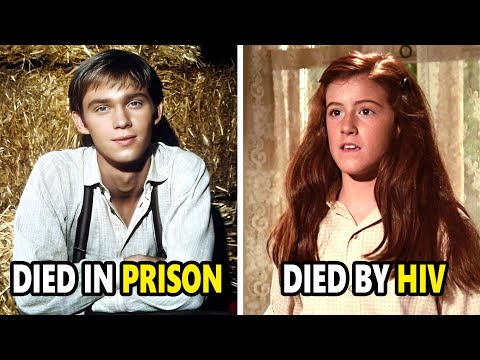  Vintage Heritage 60s and Vintage Heritage 60s