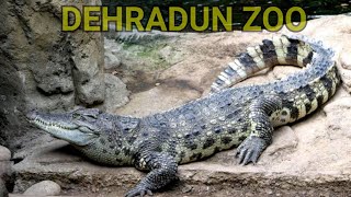 preview picture of video 'DEHRADUN ZOO :--TYPES OF BIRDS, FISHES AND OTHER ANIMALS'