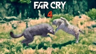 Far Cry 4 - Animals Fighting Pt 2