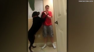 Watch: Service dog alerts self-harm during 'meltdown'