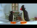 Sore Tummy Pingu Cbeebies Edit