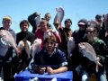 Snapper Fishing Season 2008/2009