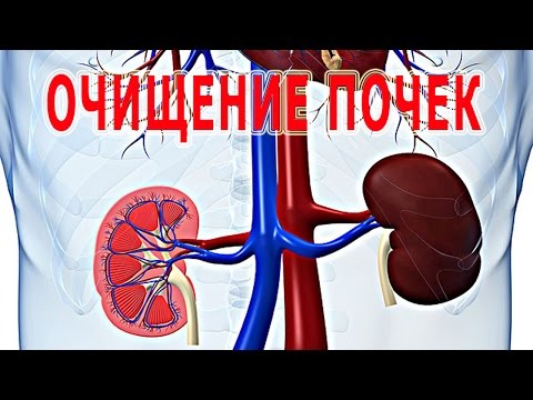 Siccome è corretto per fare la prova su vermi di uova Medicina di piccioni per vermi