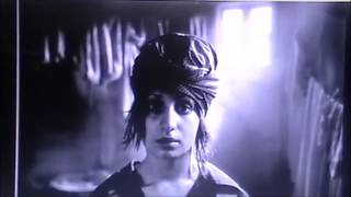 LIGHT OF LIFE SANTANA