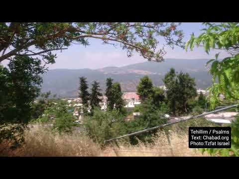 Tehillim Psalms Chapter 143