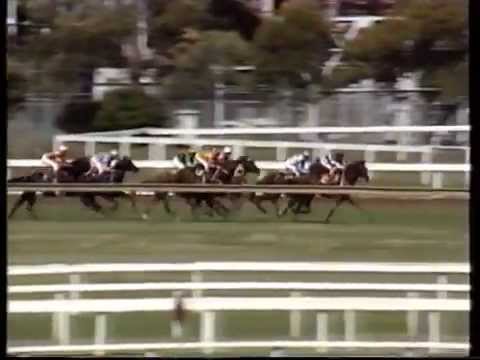 Heat Of The Moment - 1986 George Ryder Stakes
